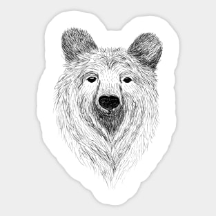 Hand Drawn Bear Sticker